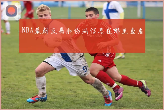 NBA最新交易和伤病信息在哪里查看