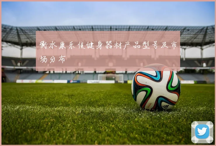 衡水康乐佳健身器材产品型号及市场分布