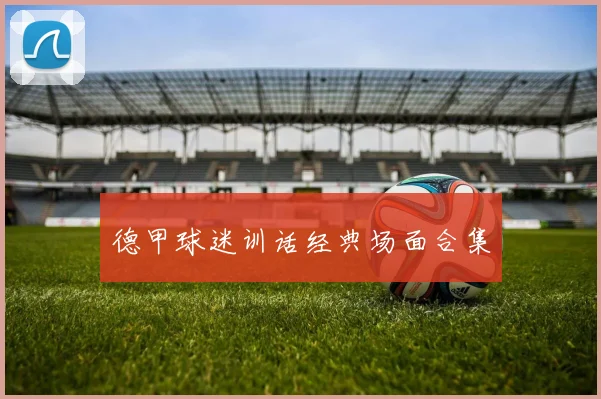 德甲球迷训话经典场面合集