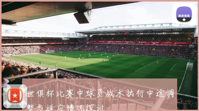 世俱杯比赛中球员战术执行中途调整与适应情况探讨